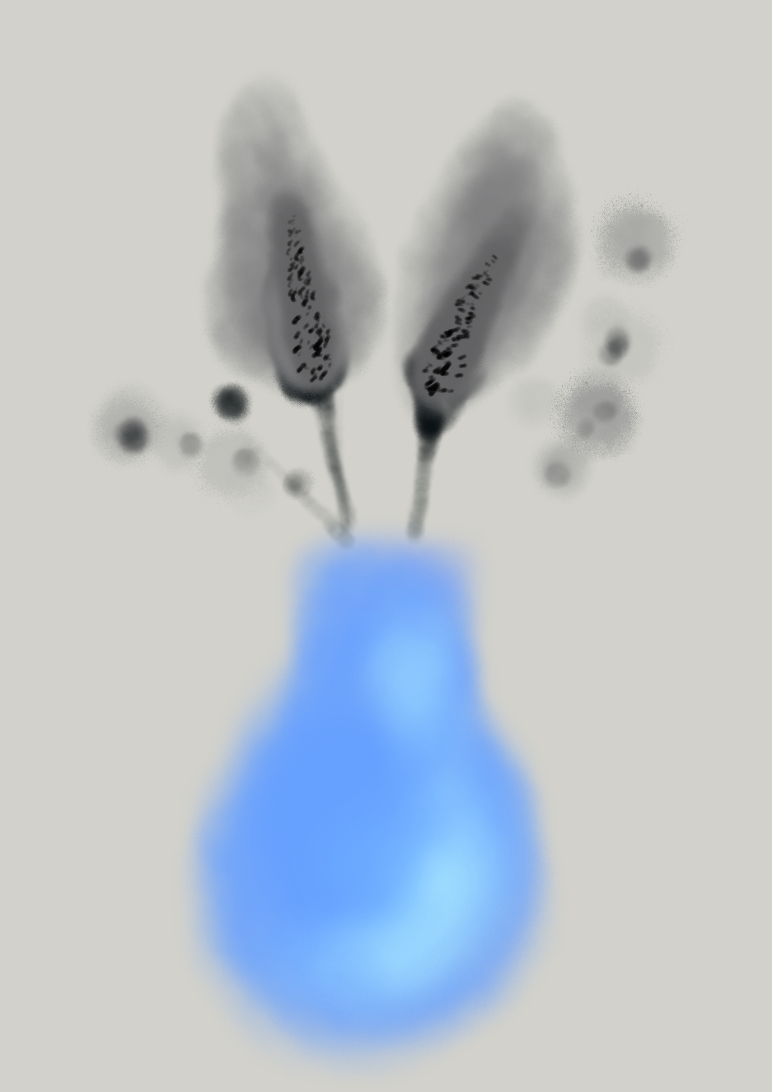 "Flow" (Blue) by Night Library