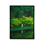 "Ask the Garden" by Ronnakorn & Jitta