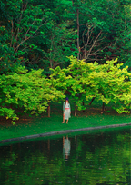 "Ask the Garden" by Ronnakorn & Jitta